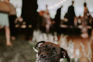 Wild June Photography - 72
