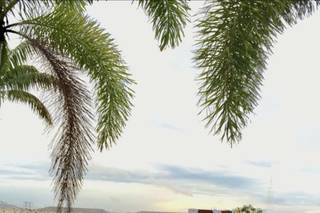 Vista Lago Ballroom - 90