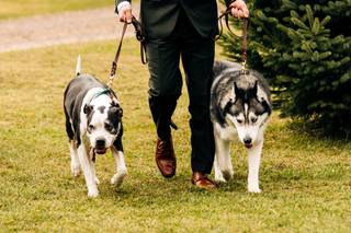 Enchanted Pines Weddings & Events - 9