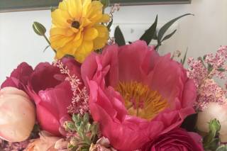 Mahoney's Garden - 7