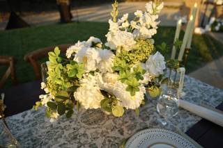 Lily And Poppy Events - 3