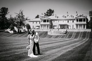 7 Vines Vineyard - 7