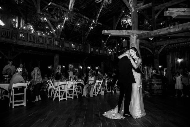 The Swan Barn Door - 3