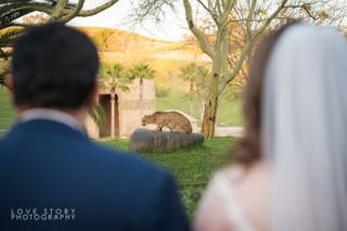 San Diego Zoo Wildlife Alliance - 21
