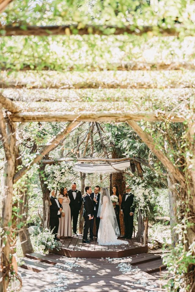 Arrowhead Pine Rose - 2