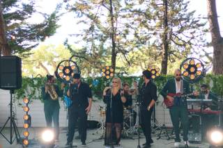 Oak Wedding Music Experience - 3
