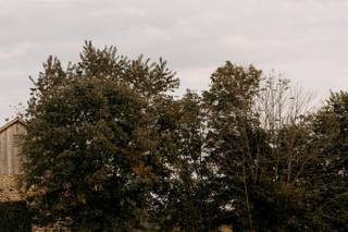 Barbara O Photography - 74