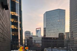 DoubleTree by Hilton Charlotte City Center - 5