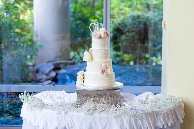 Nesh Photography - 1
