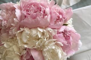 Floral Wonders - 10