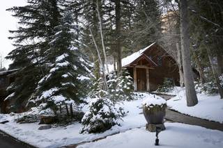 Log Haven - 62