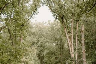 Paperbird Photography - 28