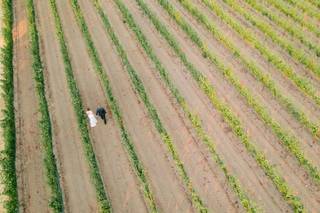 Blue Note Weddings - 9