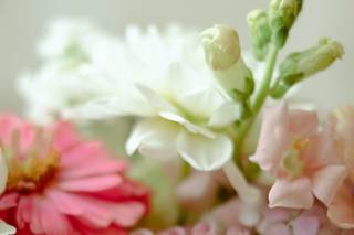 Sterling Flower Farm LLC - 19