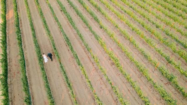 Blue Note Weddings - 1