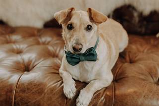 Carmela Joy Photography - 21