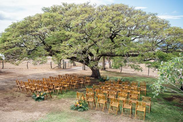 Kona Event Rentals - 3