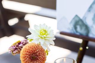Diadem Flower Co. - 8