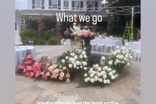Petaloso - 28