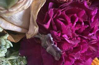 Shades of Pink Wedding Flowers - 23
