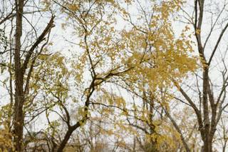Leah Miessler Photography - 48