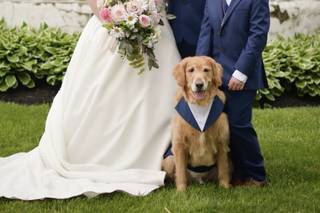Pamela Harvey Photography - 7
