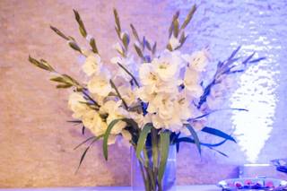 Villa Barone Hilltop Manor - 12