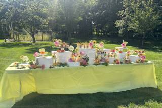 A to Z Party Rental - 6
