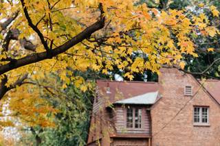 Ashley Wallace Photography - 51
