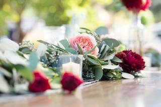 Alicia Parks Photography - 5