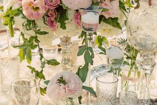 Justin Lee Photography - 20