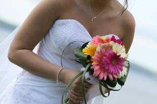 Amy Kate Designs - 71