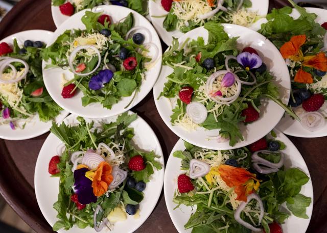 Sugarsnap Catering - 4