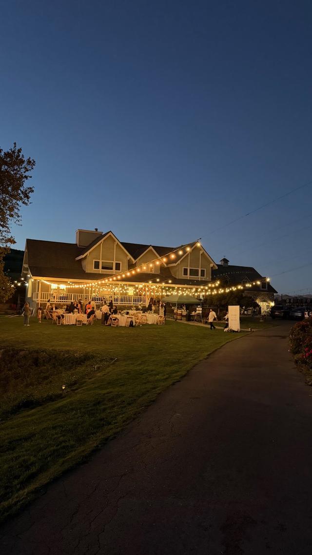 Big Dog Vineyard - 1