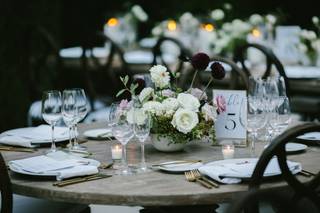 Bari Elexa Events - 21