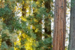 Sarahi Hadden Photography - 5