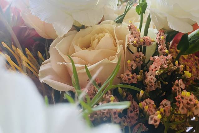 Absolutely Perfect Special Occasions 5
