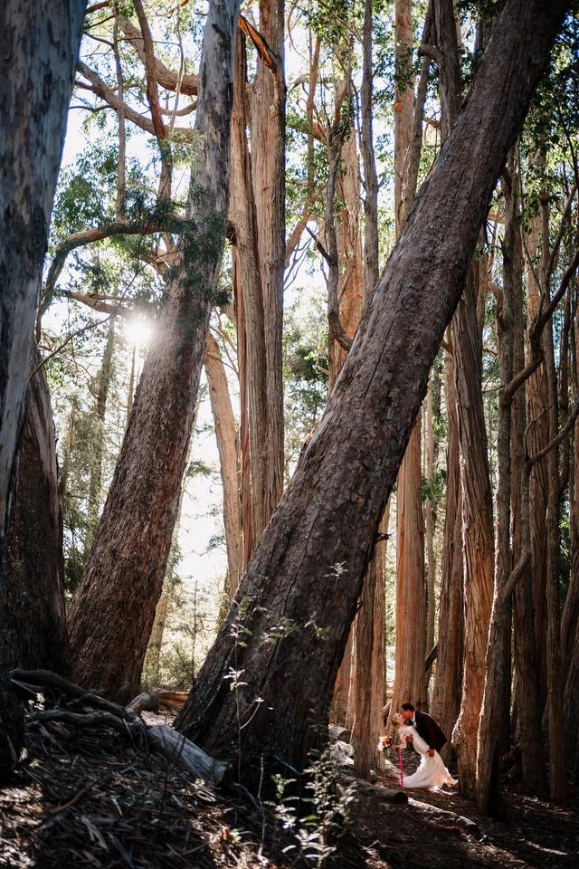 Angela Nelson Photography - 2