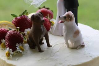 Butter Bunny Bakery - 15