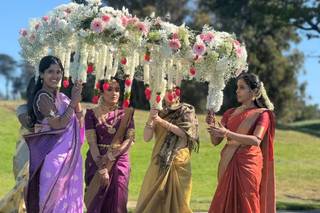Perfect Saree Draping By Chhavi - 8