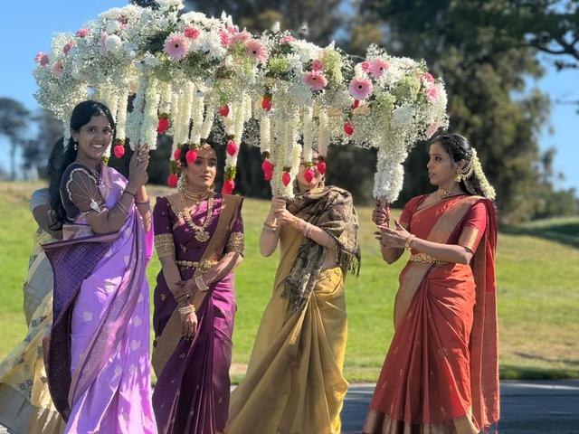 Perfect Saree Draping By Chhavi - 1