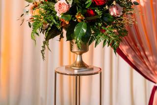 Windflower - 5
