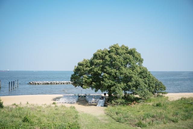Chesapeake Bay Foundation - 4