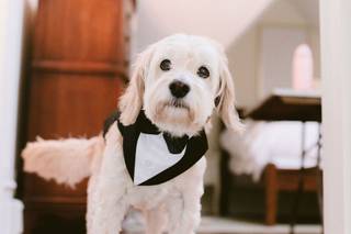 Brittany Taylor Photography - 10