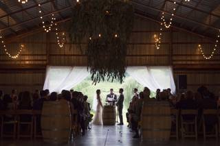 Nostrano Vineyards - 22