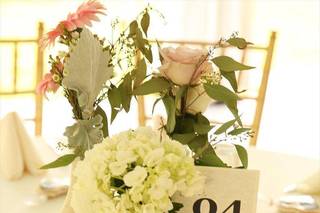 Events By Amy LLC - 31