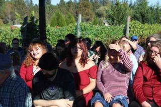 Jacquot Vineyard - 20