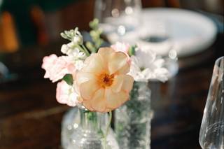 Blossoms - 8