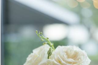 J Designs, A Wedding Flower Boutique - 11