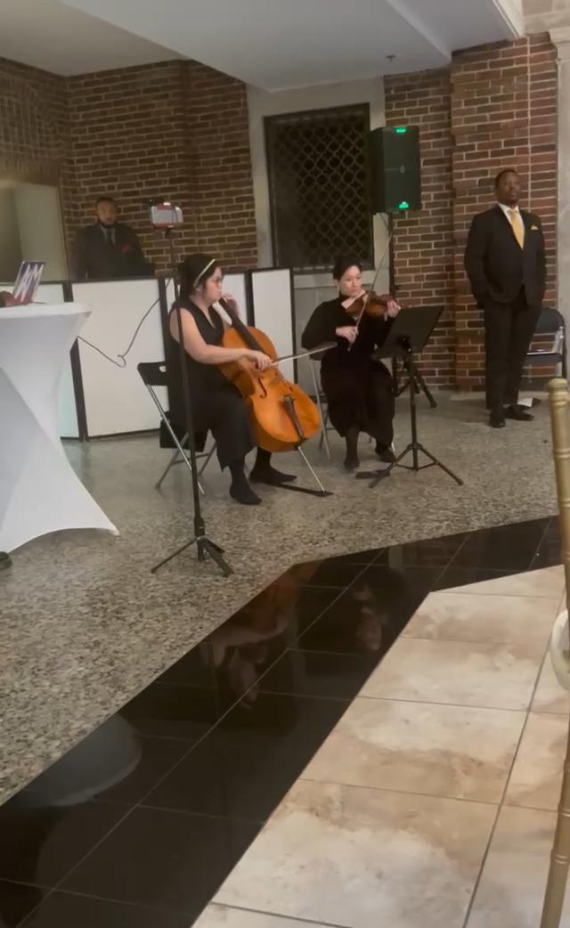 Colleen Wang Violinist - 1